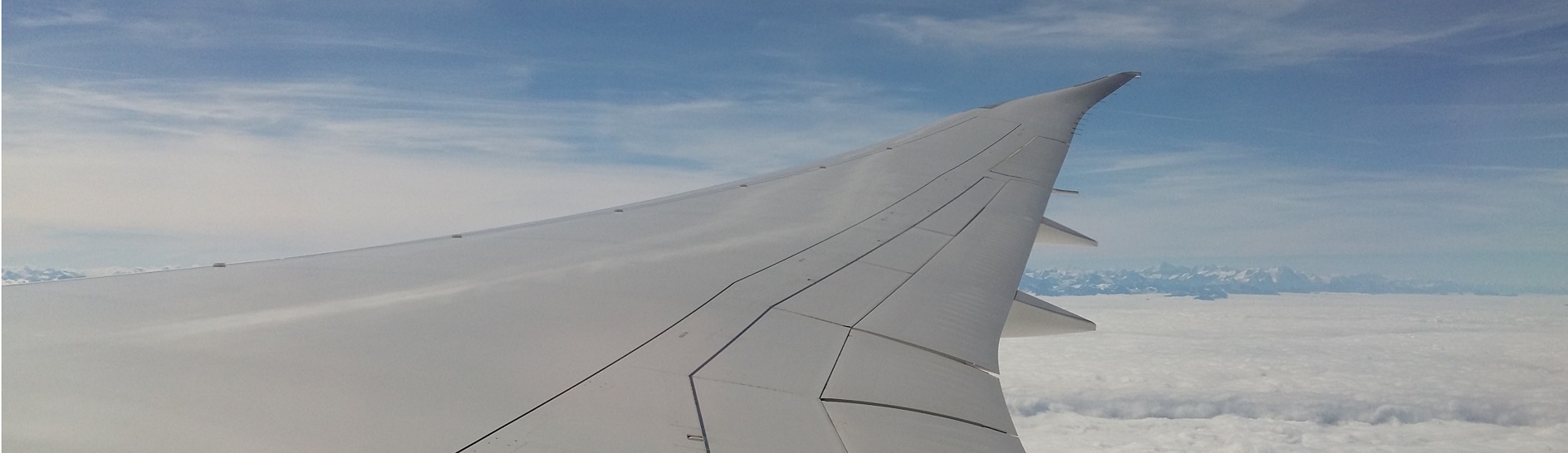 Wing